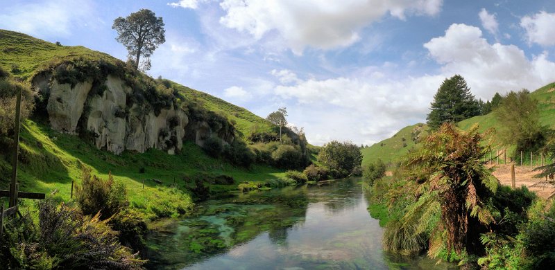 B (70) Te Waihou walkway.jpg